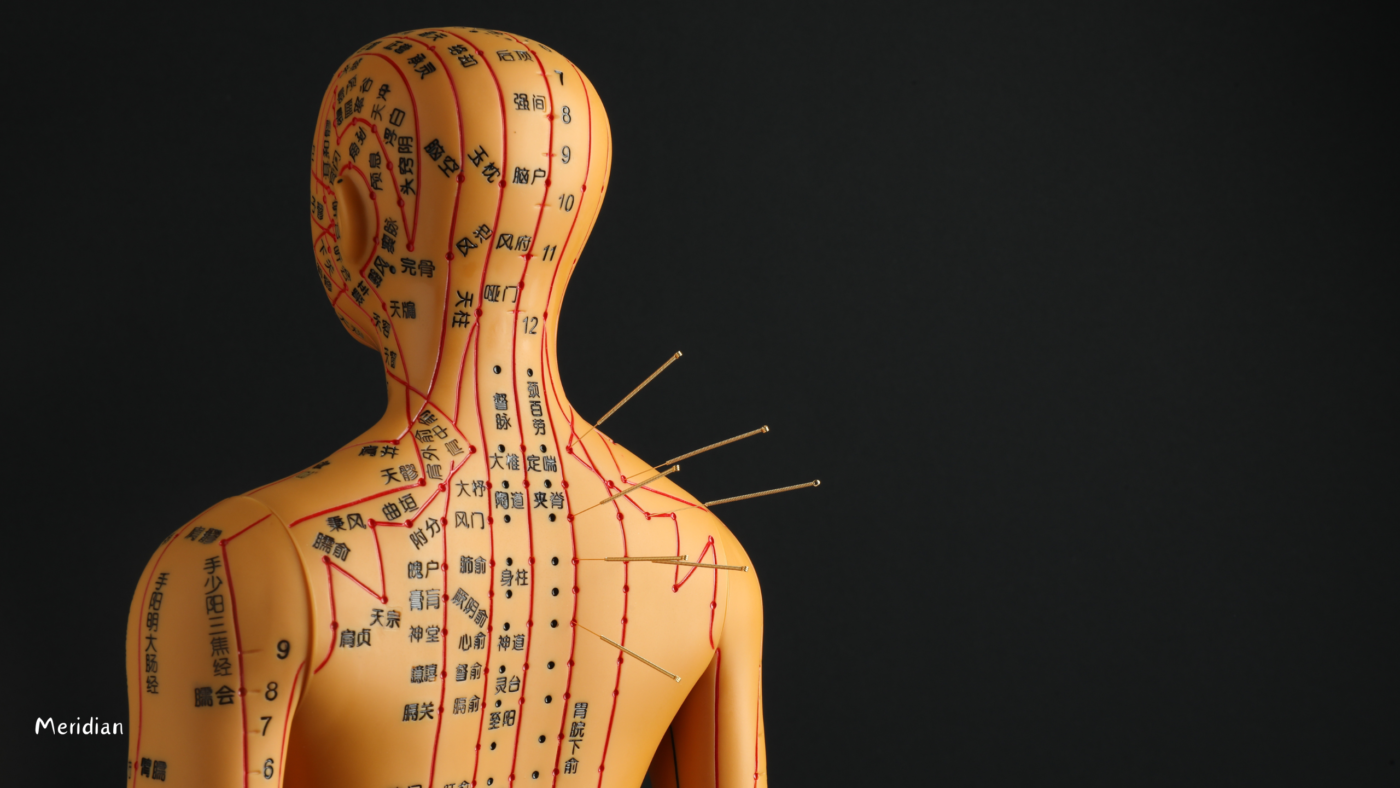 meridian and acupuncture points